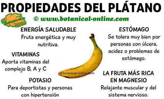 propiedades y beneficios del platano fruta