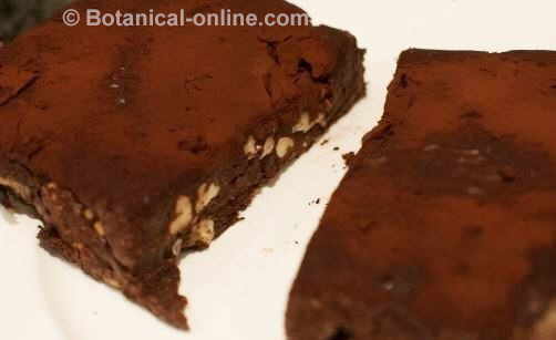 brownie de chocolate cacao y coco