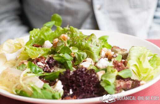 plato ensalada