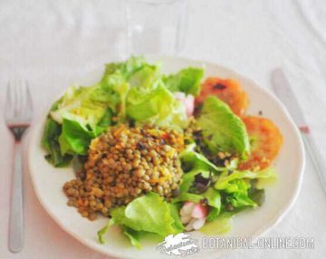 ensalada