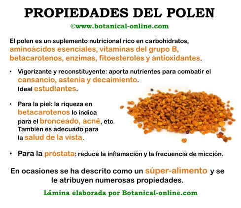 Beneficios del polen de abeja