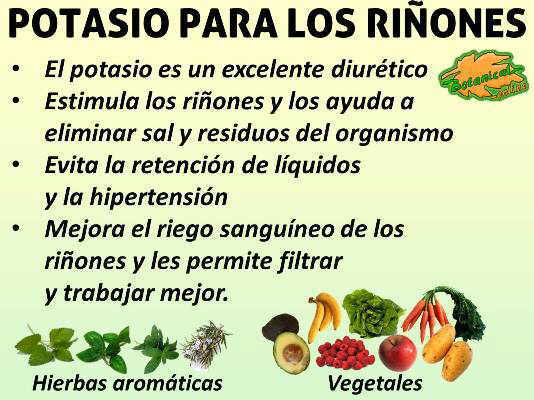 propiedades del potasio para los riñones