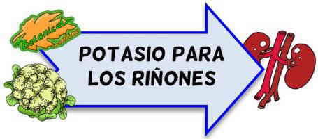 potasio para los riñones