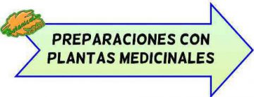 preparaciones con plantas medicinales