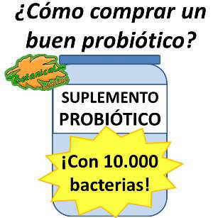 cómo comprar un buen suplemento probiotico, tipos y características
