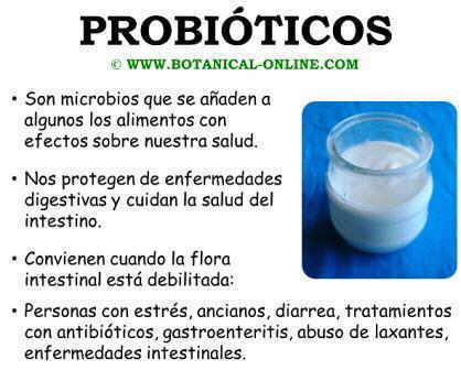 Propiedades de los probioticos, beneficios para la salud