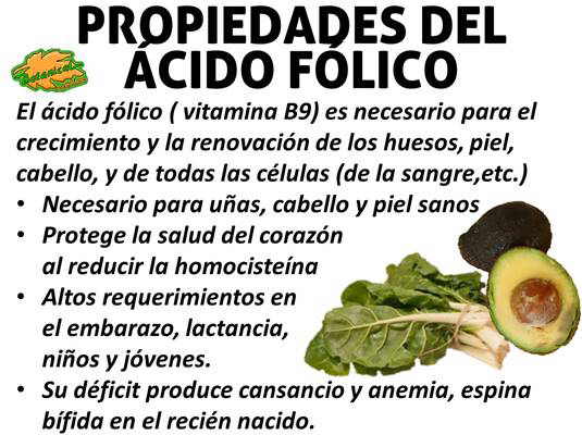 Propiedades del acido fólico – Botanical-online