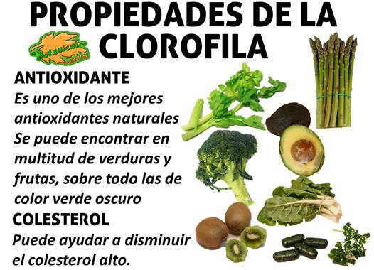 propiedades curativas de la clorofila