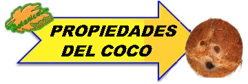 Propiedades del coco dibujo