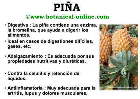 Propiedades de la piña