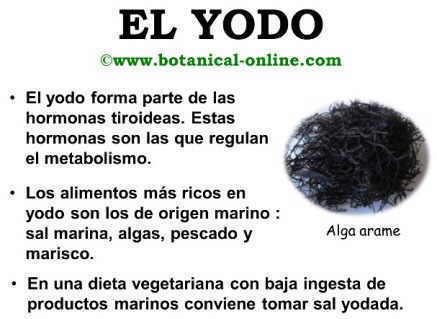 Propiedades del yodo