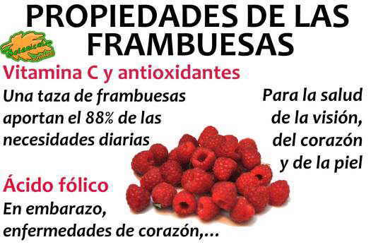 propiedades de las frambuesas