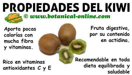 Propiedades de los kiwis y sus beneficios