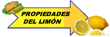 Propiedades del limón titulo