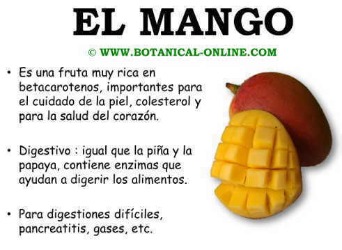 Propiedades del mango