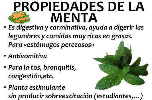 propiedades medicinales de la menta