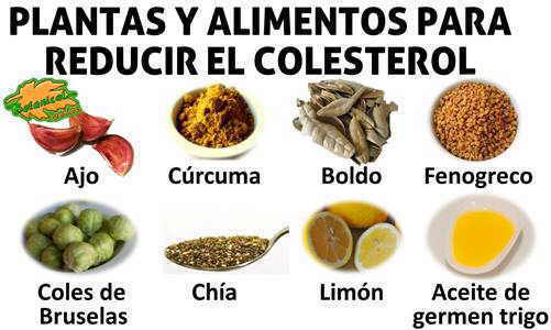 20 JUGOS Naturales Para Bajar el Colesterol y los Triglicéridos