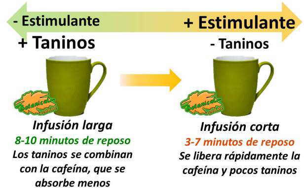 propiedades y beneficios del te segun tiempo de infusion, taninos y cafeina