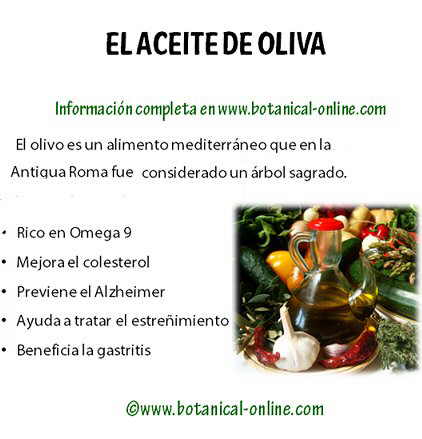 Beneficios del aceite de oliva