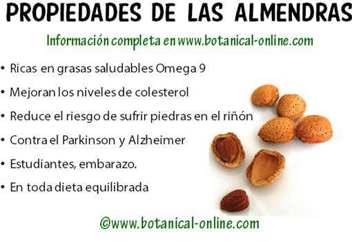 Propiedades de las almendras