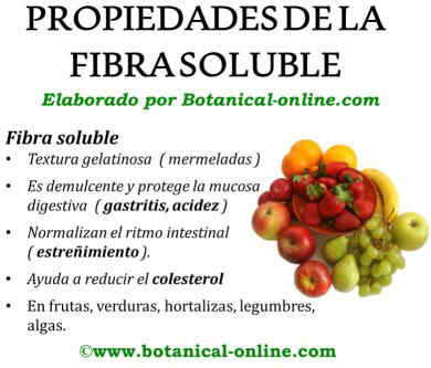 Propiedades de la fibra soluble