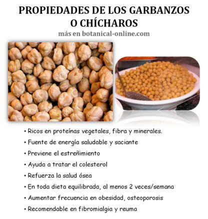 Propiedades de los garbanzos