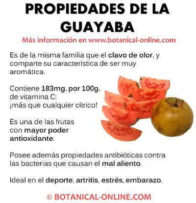 Propiedades de la guayaba