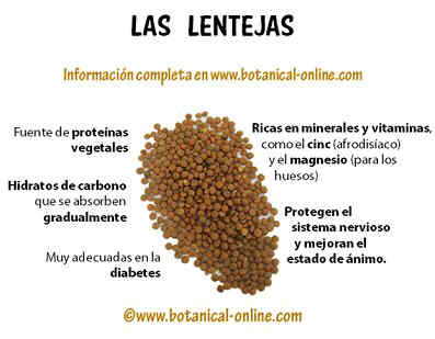 Propiedades de las lentejas