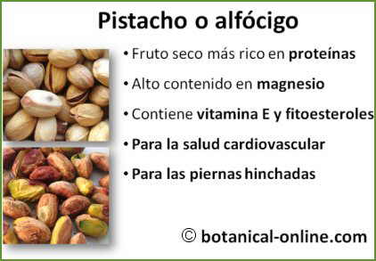 Propiedades de los pistachos