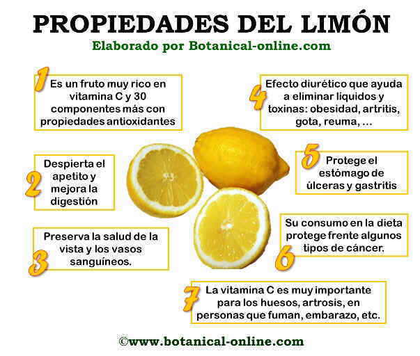 Resultado de imagen para mejorar la vista con el limon