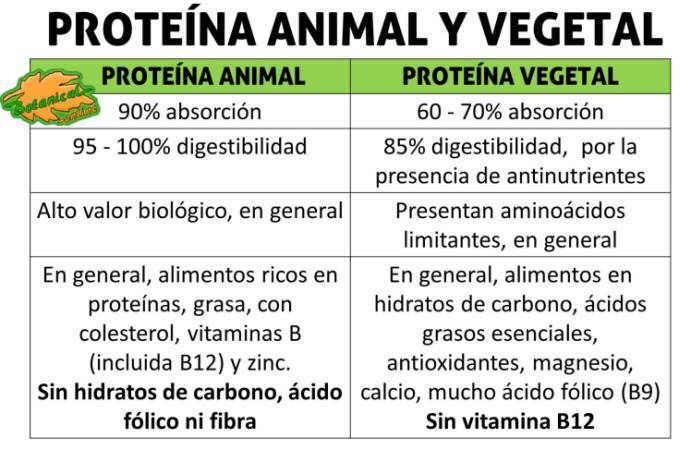 Diferencias entre la proteina animal y vegetal, proteinas vegetarianas y vegetarianismo