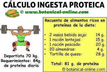 calcular requerimientos de proteina para deportista en el deporte