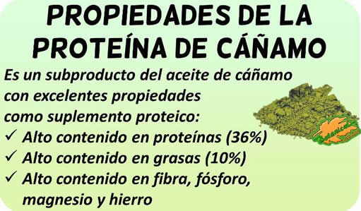 propiedades y beneficios de la proteina de cañamo