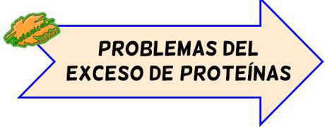 problemas exceso proteinas