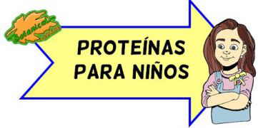 proteinas para niños