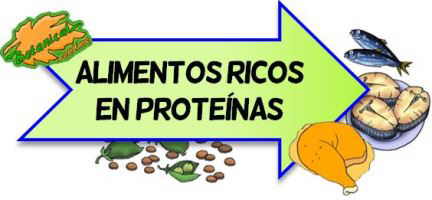 alimentos ricos proteinas