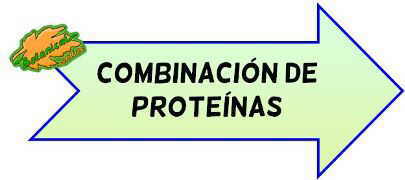 combinacion proteinas completas