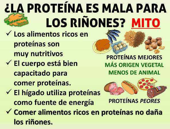 proteinas no son malas para los riñones
