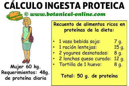 calculo ingesta de alimentos ricos en proteinas de la dieta