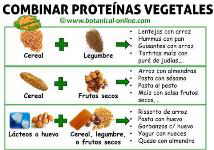 combinación proteinas para el pelo