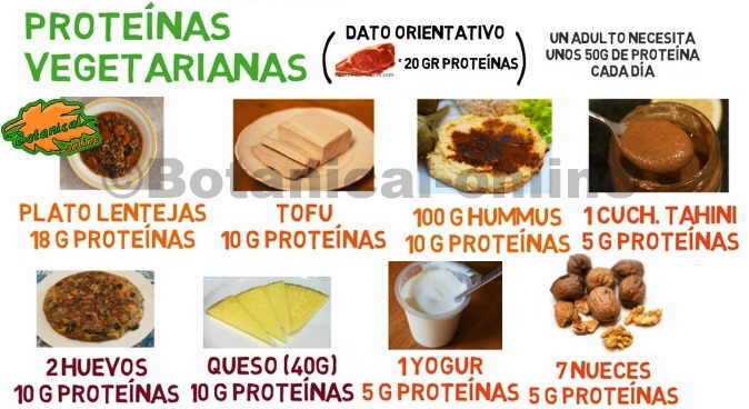 alimentos ricos en proteinas de dieta vegetariana origen animal y vegetal