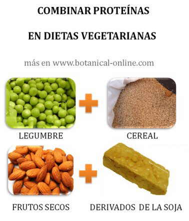 proteinas vegetales