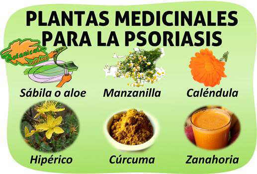 Plantas medicinales y remedios para tratamiento natural de la proriasis