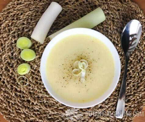 vichyssoise crema puerros fria