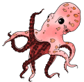 pulpo