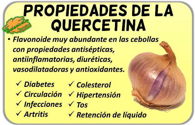 propiedades de la quercetina o quercitina, flavonoide de la cebolla