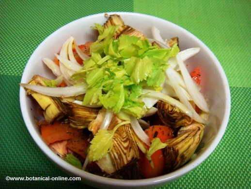 Ensalada de tomate, apio, alcachofas y cebolla