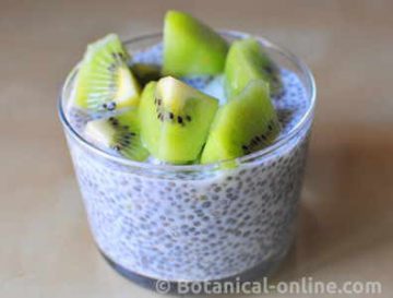 pudin de chia