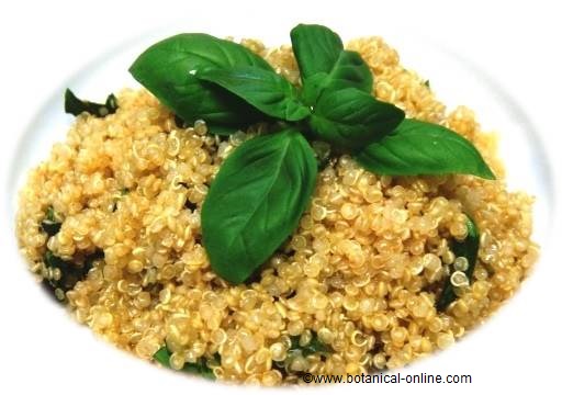 Quinoa con albahaca