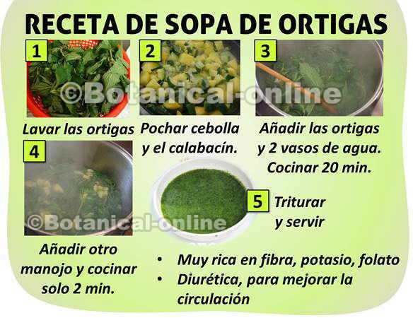 Receta de sopa de ortigas por pasos